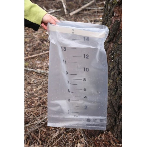 Birch / maple sap collecting kit