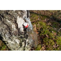 Stainless steel tap with hook for birch / maple sap collecting