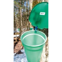 Tap with hook for birch / maple sap collecting