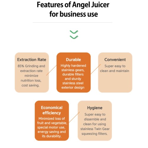 Extracteur de jus professionnel à pression (rotation) lente ANGEL JUICER 20K-GS  