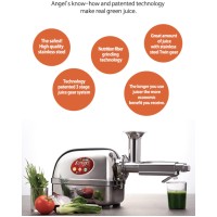 Extracteur de jus professionnel à pression (rotation) lente ANGEL JUICER 5500