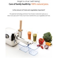 Cold Press Juicer ANGEL JUICER 5500 – Slow Juicer