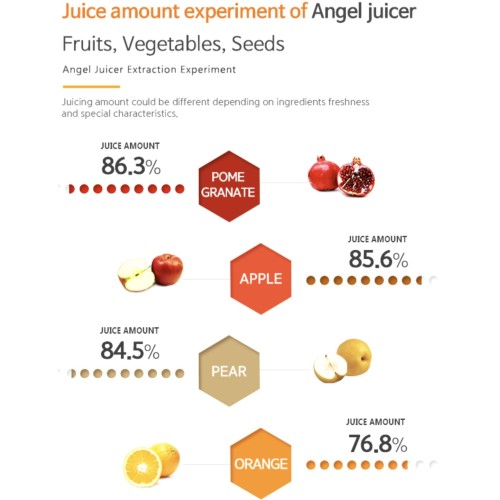 Juicepress Slow Juicer ANGEL JUICER 8500S – Juicemaskiner