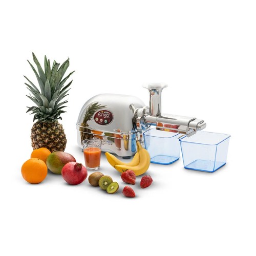 Estrattore di succo frutta e verdura a freddo ANGEL JUICER 5500