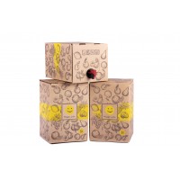 Carton box for Bag-in-Box® 3l - 100 pcs.