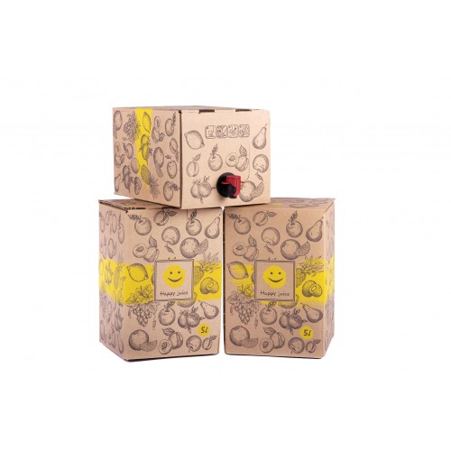 Carton box for bag in box 5l (120pcs)