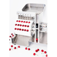 Kirschentsteiner automatisch / Elektrischer Obstentsteiner für Kirschen, Mirabellen, GM200