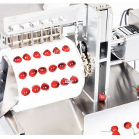 Kirschentsteiner automatisch / Elektrischer Obstentsteiner für Kirschen, Mirabellen, GM200