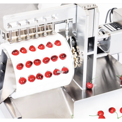 Kirschentsteiner automatisch / Elektrischer Obstentsteiner für Kirschen, Mirabellen, GM200