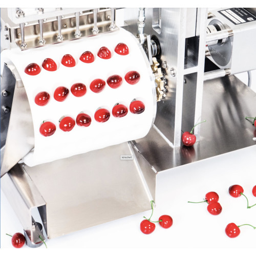 Kirschentsteiner automatisch / Elektrischer Obstentsteiner für Kirschen, Mirabellen, GM200