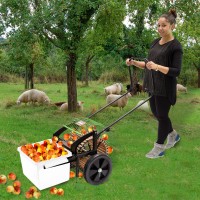 Ramasseuse à pommes, poires DEMA