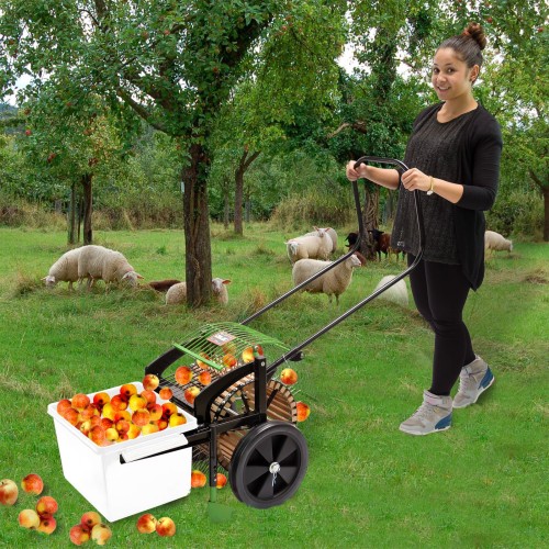 Ramasseuse à pommes, poires DEMA