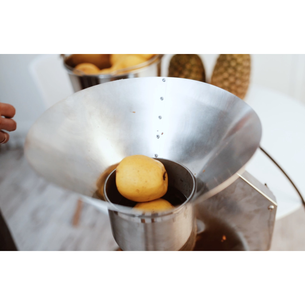 Broyeur à Fruits électrique COUCHO Professionnel - Capacité 4L, 20 Kg/h, Acier Inoxydable - Pour Fruits, Légumes, Pain