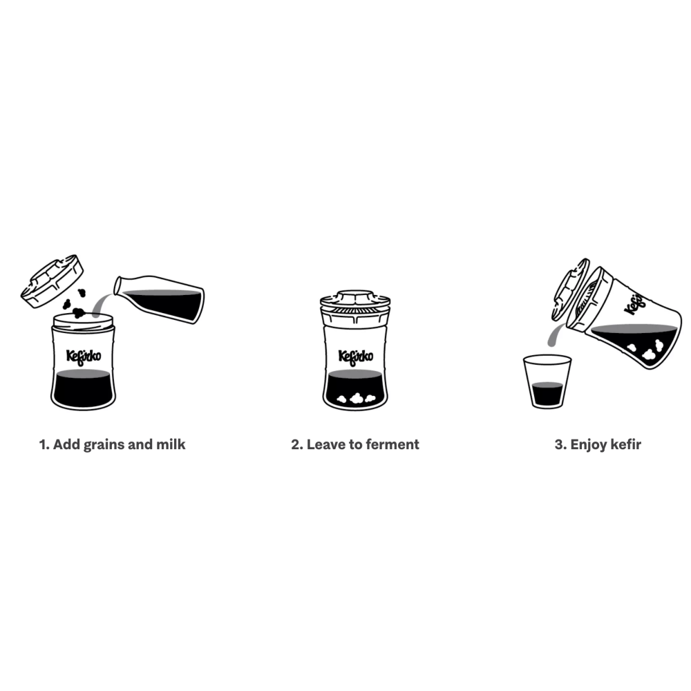 Kit de fabrication kéfir 848ML BLEU - Le kéfir fait maison/Kits kéfir seul  : eau ou lait 