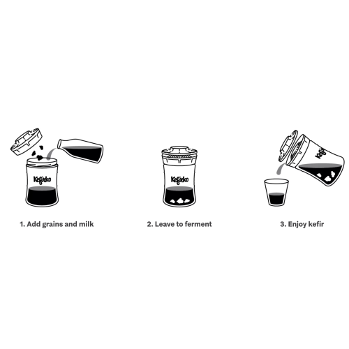 Ūdens kefīra / Rīsu sēnes / Kefīra / Tējas sēnes (kombučas) fermentācijas burka 848ml