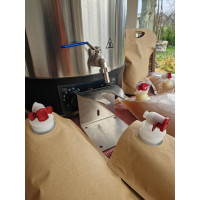 Elektrischer Pasteurisierer für Saft (40 l) – Pasteurisiertopf