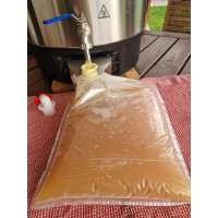 Elektrischer Pasteurisierer für Saft (40 l) – Pasteurisiertopf
