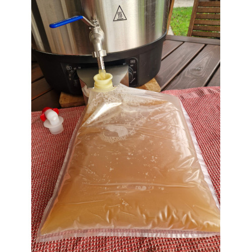 Elektrischer Pasteurisierer für Saft (40 l) – Pasteurisiertopf