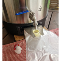Elektrischer Pasteurisierer für Saft (40 l) – Pasteurisiertopf