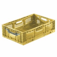Recolector de frutas y frutos secos Obstraupe 05+ - Cosechadora de manzanas del suelo