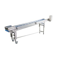 Sorting conveyor for fruit, berry and vegetable processing line