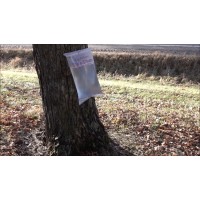 Kit per la raccolta della linfa di betulla / d’acero