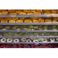 Dörrautomat SICCO60 - Trocknen von beispielsweise Pilzen, Obst, Gemüse oder Kräutern geeignet