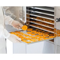 Desidratador de alimentos B MASTER BASE TWIN - Desidrata frutas, vegetais, ervas aromáticas, carne, peixe