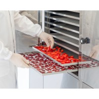 Desidratador de alimentos B MASTER BASE - Desidrata frutas, vegetais, ervas aromáticas, carne, peixe