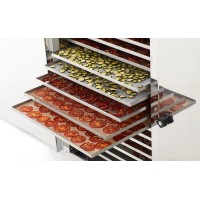 Desidratador de alimentos B MASTER PLUS TWIN XL - Desidrata frutas, vegetais, ervas aromáticas, carne, peixe