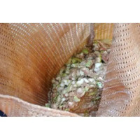 Tecido filtrante (bagas, frutos macios), peso 165 g/m², largura 150 cm