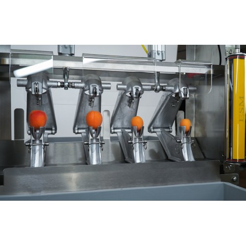 Electric pitting machine for plums, apricots - Pitter / Destoner E2004
