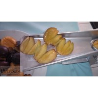 Hand plum and apricot pitting machine - Plum and apricot pitter / Destoner