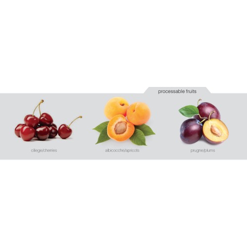 Despolpadeira BERICA para frutas, cerejas, ameixas, damascos
