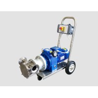 Edelstahl- Impellerpumpe T 250