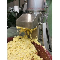 Mulino macina per frutta elettrico ZOTTEL MMS55 - Pigiatrice per mele