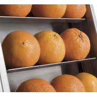 Presse Oranges Automatique ZUMEX Z450 – Presse-agrumes