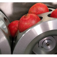 Presse Oranges Automatique ZUMEX Z450 – Presse-agrumes